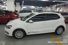 大众POLO 2016款 1.6L 自动舒适型